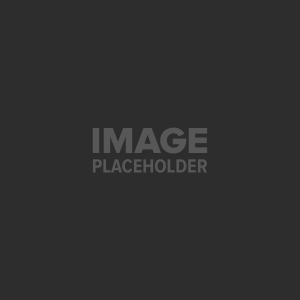 pojo-placeholder